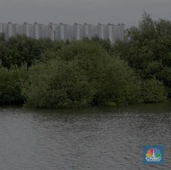 Menakjubkan, Segini Perputaran Uang di PSN Tropical Coastland