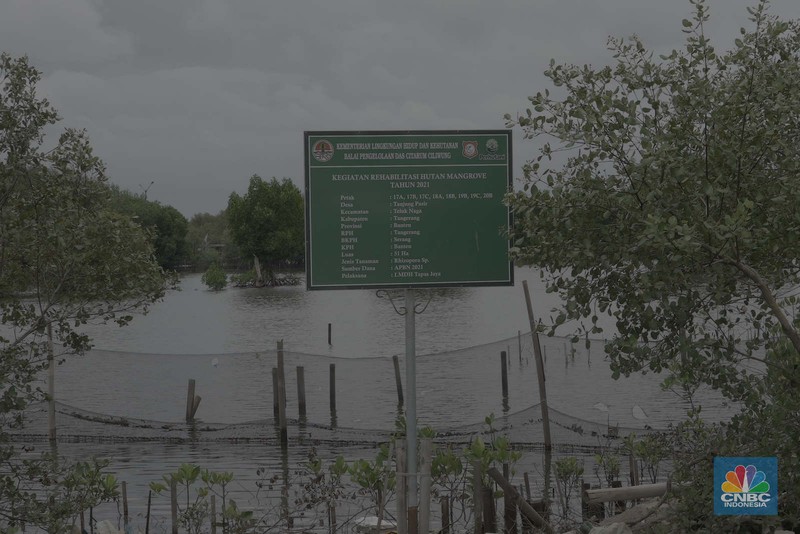 Suasana kawasan pengembangan wilayah berbasis hijau atau yang dinamakan Tropical Coastland di Tangerang, Banten, Selasa (3/12/2024). (CNBC Indonesia/Muhammad Sabki)