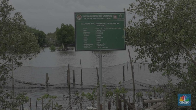 Suasana kawasan pengembangan wilayah berbasis hijau atau yang dinamakan Tropical Coastland di Tangerang, Banten, Selasa (3/12/2024). (CNBC Indonesia/Muhammad Sabki)