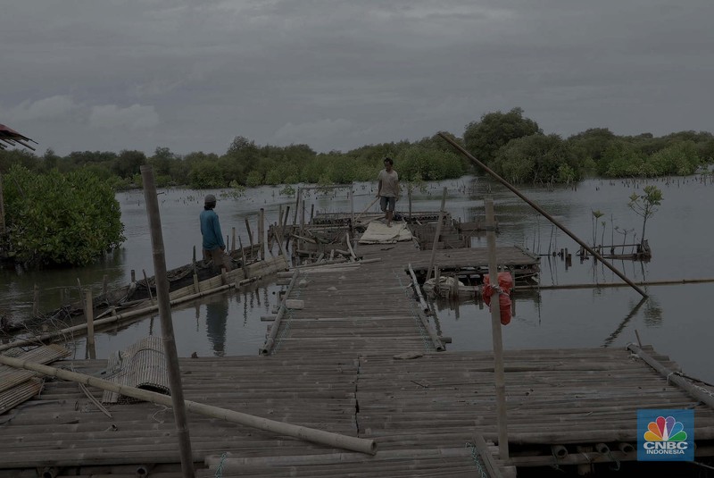 Suasana kawasan pengembangan wilayah berbasis hijau atau yang dinamakan Tropical Coastland di Tangerang, Banten, Selasa (3/12/2024). (CNBC Indonesia/Muhammad Sabki)