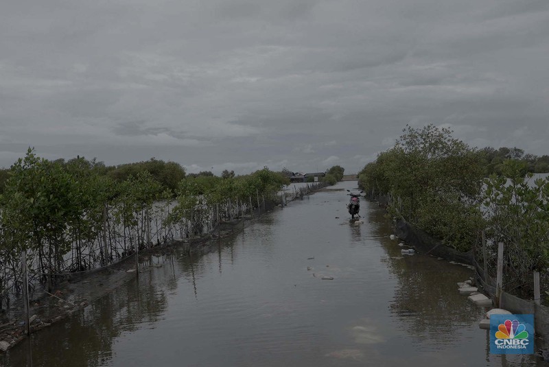 Suasana kawasan pengembangan wilayah berbasis hijau atau yang dinamakan Tropical Coastland di Tangerang, Banten, Selasa (3/12/2024). (CNBC Indonesia/Muhammad Sabki)