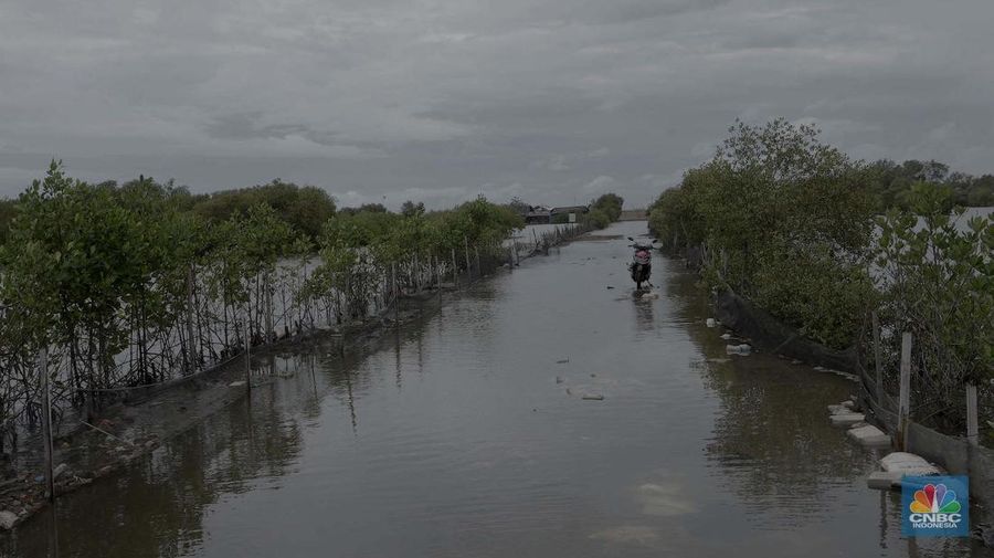 Suasana kawasan pengembangan wilayah berbasis hijau atau yang dinamakan Tropical Coastland di Tangerang, Banten, Selasa (3/12/2024). (CNBC Indonesia/Muhammad Sabki)