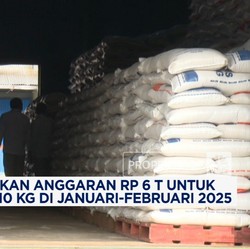 Video: Warga RI! Ada Bantuan Beras 10 Kg di Januari-Februari 2025