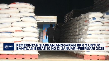 Video: Warga RI! Ada Bantuan Beras 10 Kg di Januari-Februari 2025
