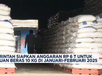 Video: Warga RI! Ada Bantuan Beras 10 Kg di Januari-Februari 2025