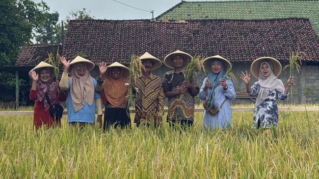 Dukung Swasembada Pangan, PIS Dorong Produktivitas Lahan Petani Sleman