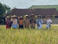 Dukung Swasembada Pangan, PIS Dorong Produktivitas Lahan Petani Sleman
