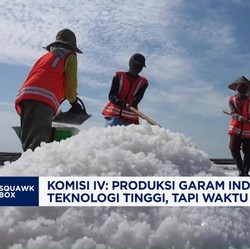 Video: Komisi IV Dorong Pemerintah Kerek Produksi Garam Industri