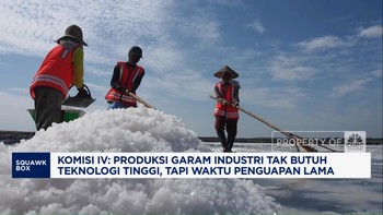 Video: Komisi IV Dorong Pemerintah Kerek Produksi Garam Industri