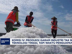 Video: Komisi IV Dorong Pemerintah Kerek Produksi Garam Industri
