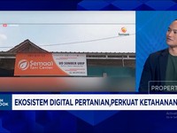 Video: Jurus Startup Pertanian Bantu Petani RI Tingkatkan Produksi