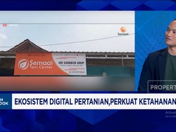 Video: Jurus Startup Pertanian Bantu Petani RI Tingkatkan Produksi