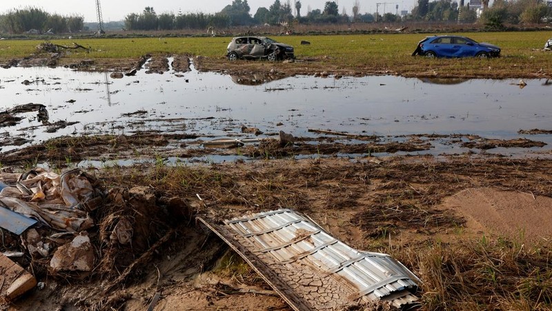 Laguna Albufera di Wilayah selatan Valencia dibanjiri berton-ton sampah plastik, mobil rusak, dan produk farmasi akibat banjir bandang yang melanda Spanyol tenggara bulan lalu. (REUTERS/ Eva Manez)