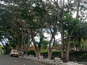 Pohon di Taman Jagat Karana Dipasangi Lampu Hias, Anggaran Rp 250 Juta