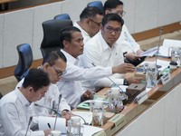 Cetak Sawah Baru-Pompanisasi Demi Swasembada Pangan, Amran Minta Ini