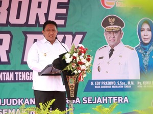 Wagub Kalteng Ajak Kader PKK Berdayakan Perempuan-Tekan Kematian Anak
