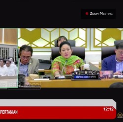 Titiek Soeharto Sebut Swasembada Pangan Terancam Terhambat, Ada Apa?