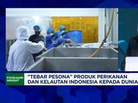 Video: Jurus KKP Jadikan RI Masuk 10 Besar Eksportir Perikanan Dunia