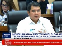 Video: Bos BUMN Minta DPR Batasi Pembangunan Smelter Nikel Baru