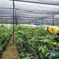 Peran dan Komitmen Perusahaan Smelter pada Keberlanjutan Melalui ESG