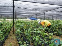 Peran dan Komitmen Perusahaan Smelter pada Keberlanjutan Melalui ESG