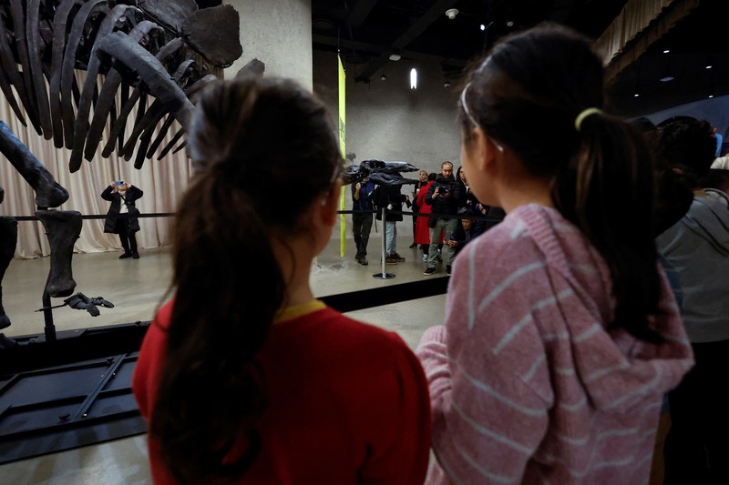 Fosil Stegosaurus yang dijuluki Apex diperkenalkan ke media di Museum Sejarah Alam Amerika, di New York City, AS, 5 Desember 2024. (REUTERS/Shannon Stapleton)