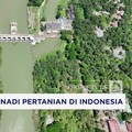 Video: Irigasi, Denyut Nadi Pertanian di Indonesia