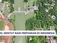 Video: Irigasi, Denyut Nadi Pertanian di Indonesia