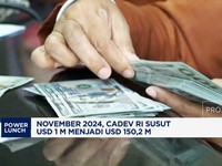 Video: November 2024, Cadev RI Susut USD 1 M Menjadi USD 150,2 M