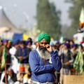 Demi Bela Petani, India Diamuk Tarif Trump