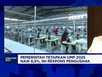 Video: Pengusaha Ingatkan Ancaman Dibalik Kenaikan UMP 6,5% & PPN 12%