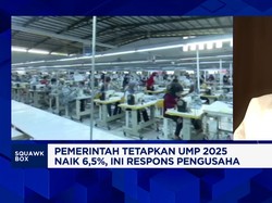 Video: Pengusaha Ingatkan Ancaman Dibalik Kenaikan UMP 6,5% & PPN 12%