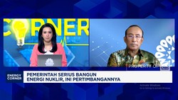 Selain Investasi Jumbo, Ini Tantangan RI Bangun Pembangkit Nuklir