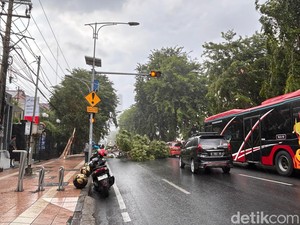 Hujan Deras Angin Kencang Tumbangkan 8 Pohon di Surabaya