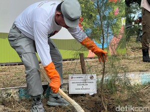 Bakamla RI Tanam Ratusan Pohon di Pantai Bengkulu