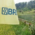 Bukti Nyata Implementasi Asta Cita, BRI Salurkan KUR Rp 175,66 T