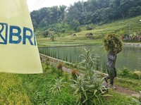 Pakai Cara Ini, BRI Siap Sukseskan Program Makan Bergizi Gratis