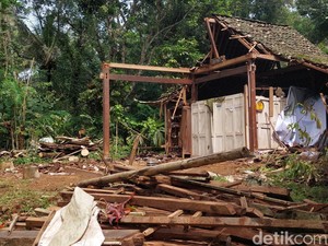 Pohon 20 Meter Tumbang Rusak Rumah Kayu Milik Warga Kulon Progo