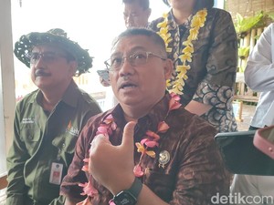 Kementerian Pariwisata Tanggapi WNA Marak Jalankan Prostitusi di Bali