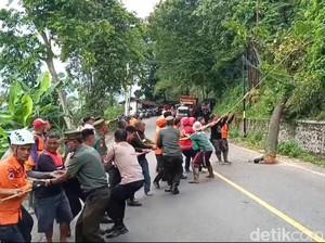 Pohon Tumbang Timpa Motor di Sumedang, Satu Bocah Tewas