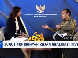 Video: PSN Tropical Coastland Mau Dikaji Ulang, Ini Kata Pemerintah
