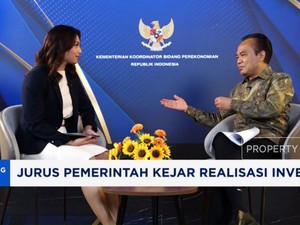  PSN Tropical Coastland Mau Dikaji Ulang, Ini Kata Pemerintah