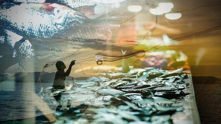 Fakta-Fakta Menarik Marine and Fishery Business Forum 