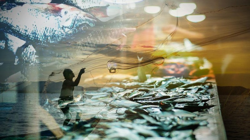 Fakta-Fakta Menarik Marine and Fishery Business Forum 