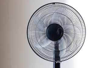 Bukan Kipas Angin, Ini Kemungkinan Penyebab Asam Urat di Umur 17 Tahun