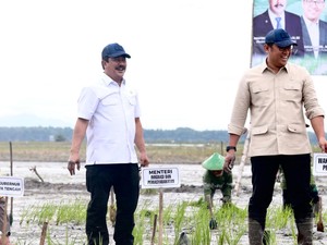 Kunker ke Blora, Menteri Agus Tanam Padi Serentak hingga Ziarah Makam Orang Tua