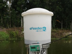 Di Bawah Kepemimpinan Baru, eFishery Pastikan Tidak Punya Utang Bank