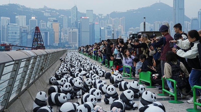 Hong Kong memamerkan 2.500 patung panda menyusul kelahiran dua anak di taman hiburan setempat. (REUTERS/Lam Yik)