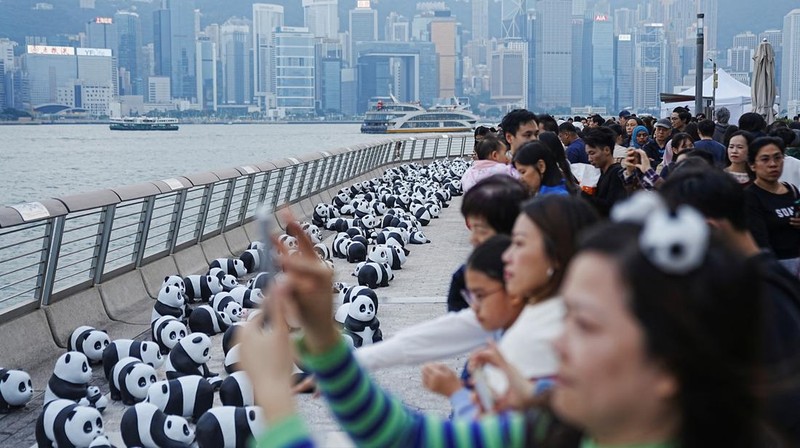 Hong Kong memamerkan 2.500 patung panda menyusul kelahiran dua anak di taman hiburan setempat. (REUTERS/Lam Yik)