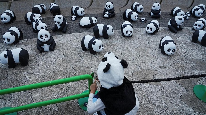 Hong Kong memamerkan 2.500 patung panda menyusul kelahiran dua anak di taman hiburan setempat. (REUTERS/Lam Yik)